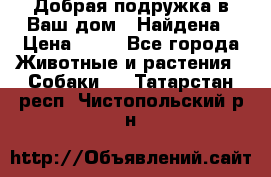 Добрая подружка,в Ваш дом!!!Найдена › Цена ­ 10 - Все города Животные и растения » Собаки   . Татарстан респ.,Чистопольский р-н